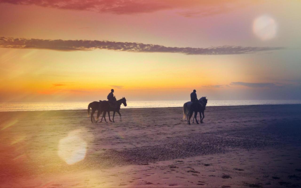 Blue Wave Lodge Agadir n'Ait Sa ภายนอก รูปภาพ